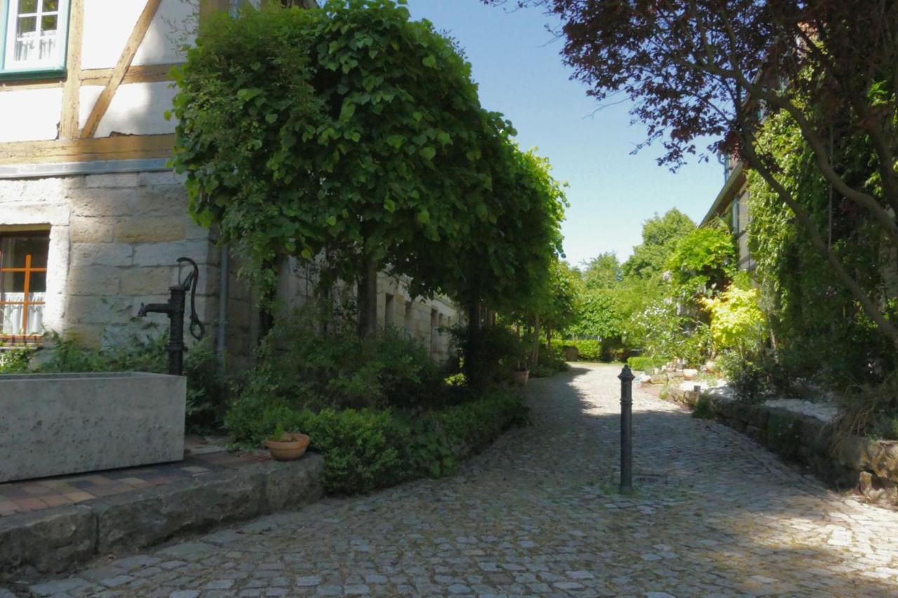 No.5 - Ferienwohnung Schkade Kleingiesshubel Esterno foto