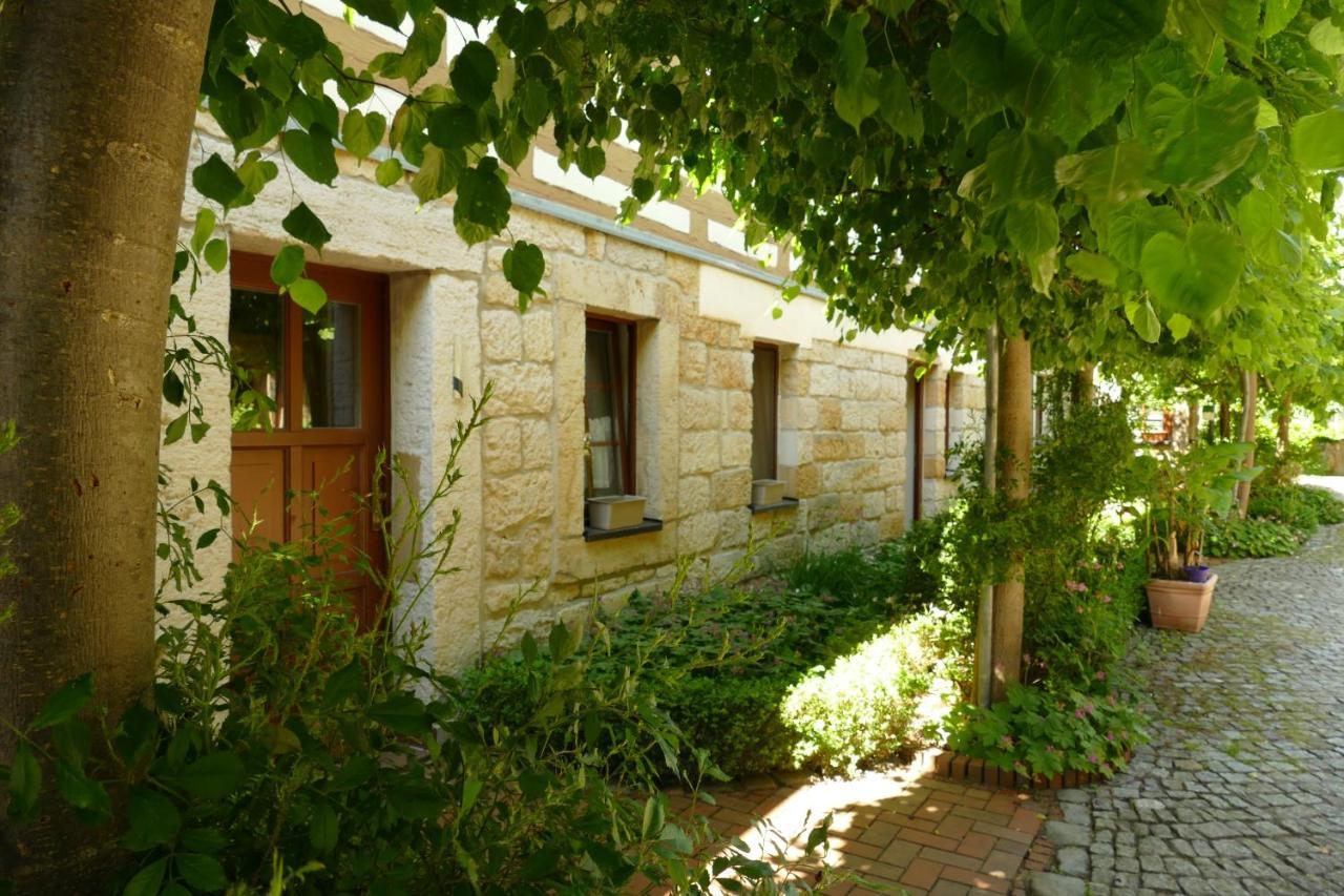 No.5 - Ferienwohnung Schkade Kleingiesshubel Esterno foto